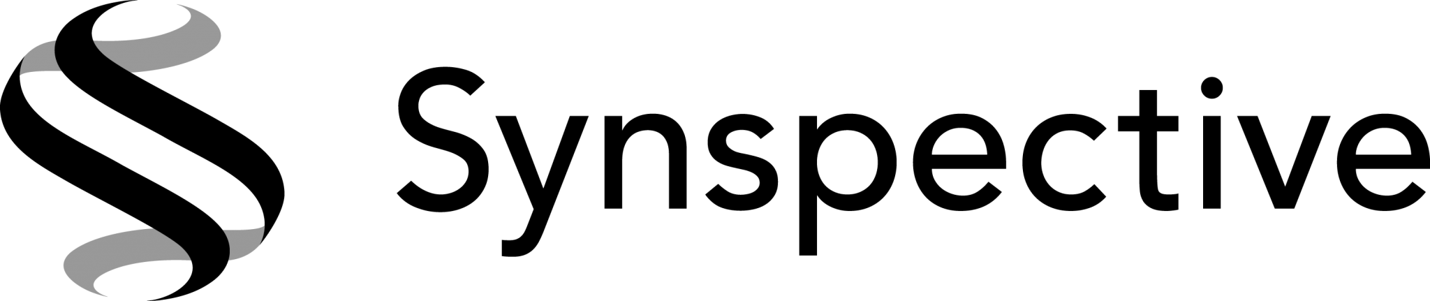 株式会社 Synspective
